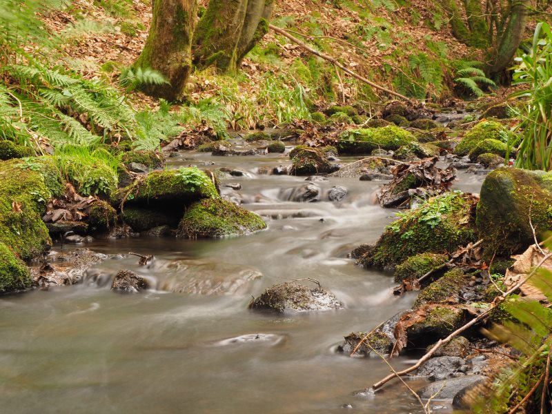 Local Walks – Destination Ripon